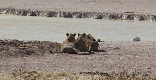 Reisebericht_IMG_1630