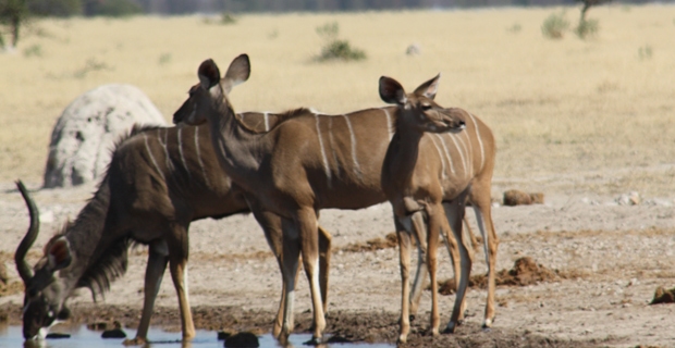 Reisebericht_IMG_2228