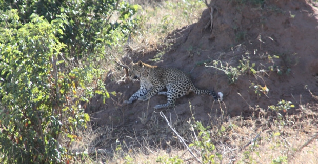 Reisebericht_IMG_2371