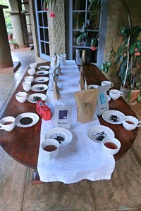 satemwa-tea-estate