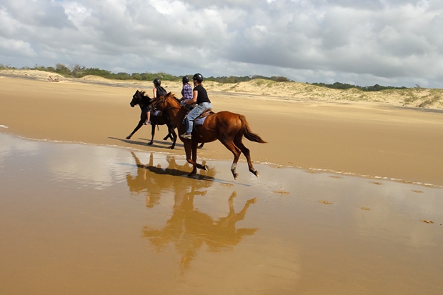Pferdeausritt St. Lucia