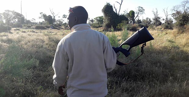 Walking-Safari-bei-Gomoti-Camp-(4)