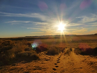 Wüstensonne in der Namib