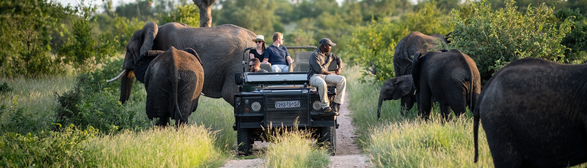 Timbavati Game Reserve Safari