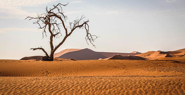 hoeflich1_Namibia-Experience