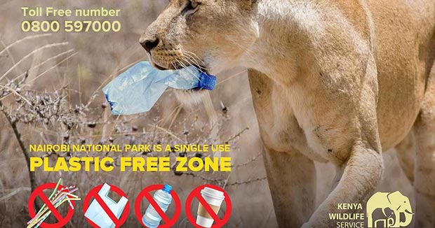 Plastikverbot Nationalparks Kenia