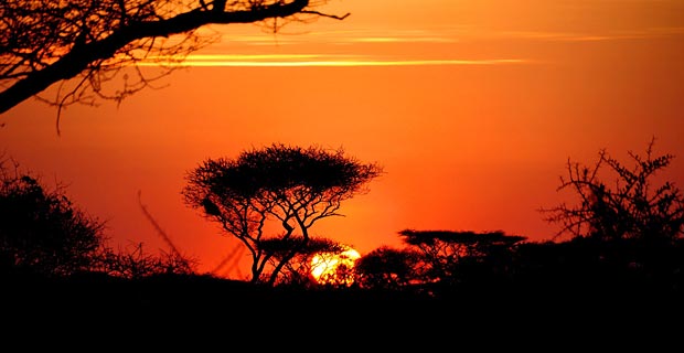 Vor dem Sonnenuntergang in der Serengeti steht die Beantragung des elektronischen Visums für Tansania