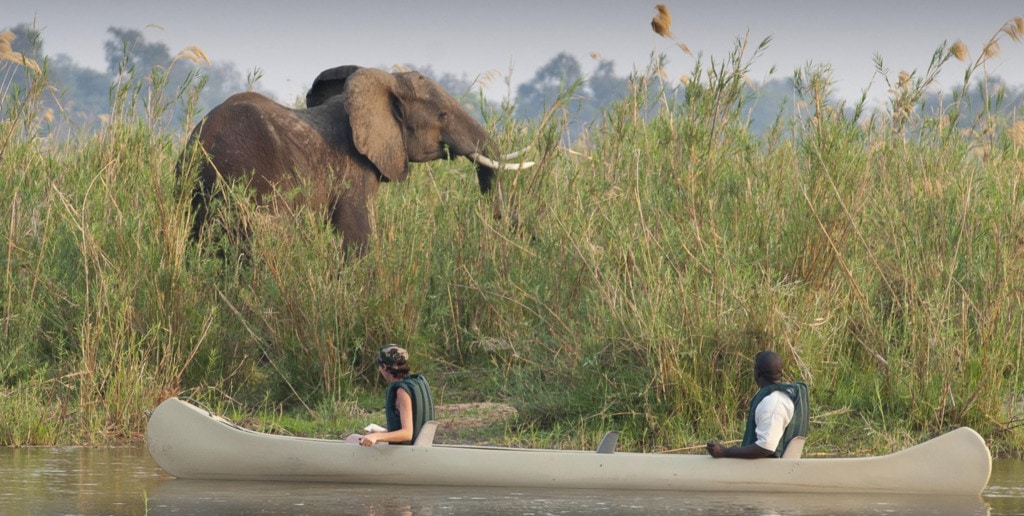Safaris Sambia