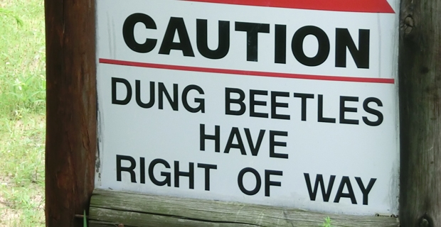 1_Tembe Elephant Park