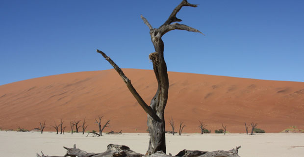 Deadvlei