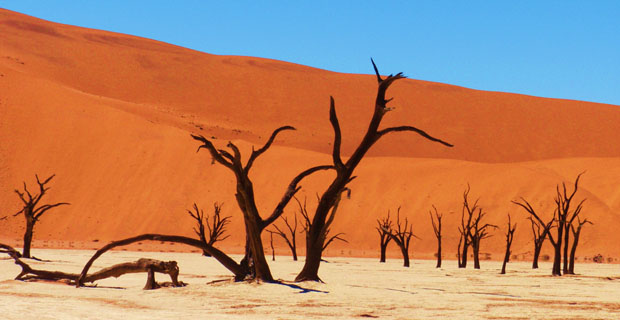 Sossusvlei