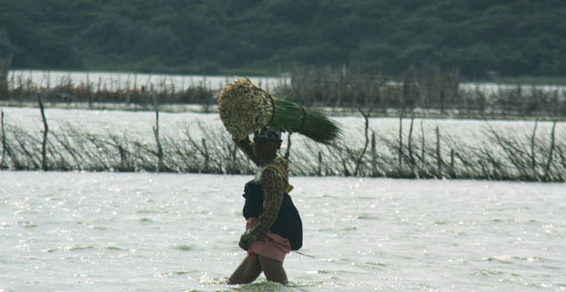 Kosi Bay