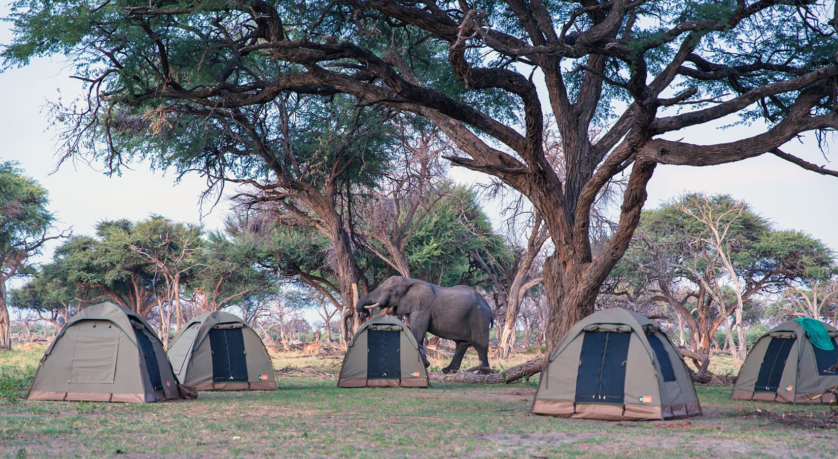 Tipps Camping Safari Afrika