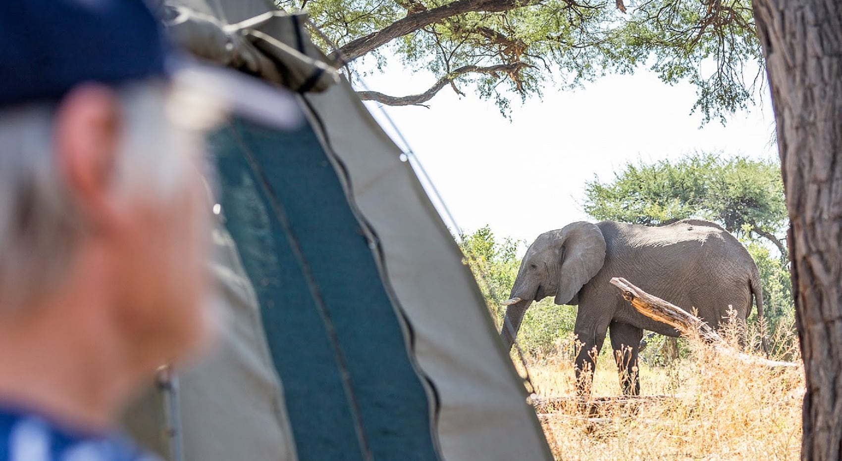 Botswana Camping Safari Erfahrungsbericht