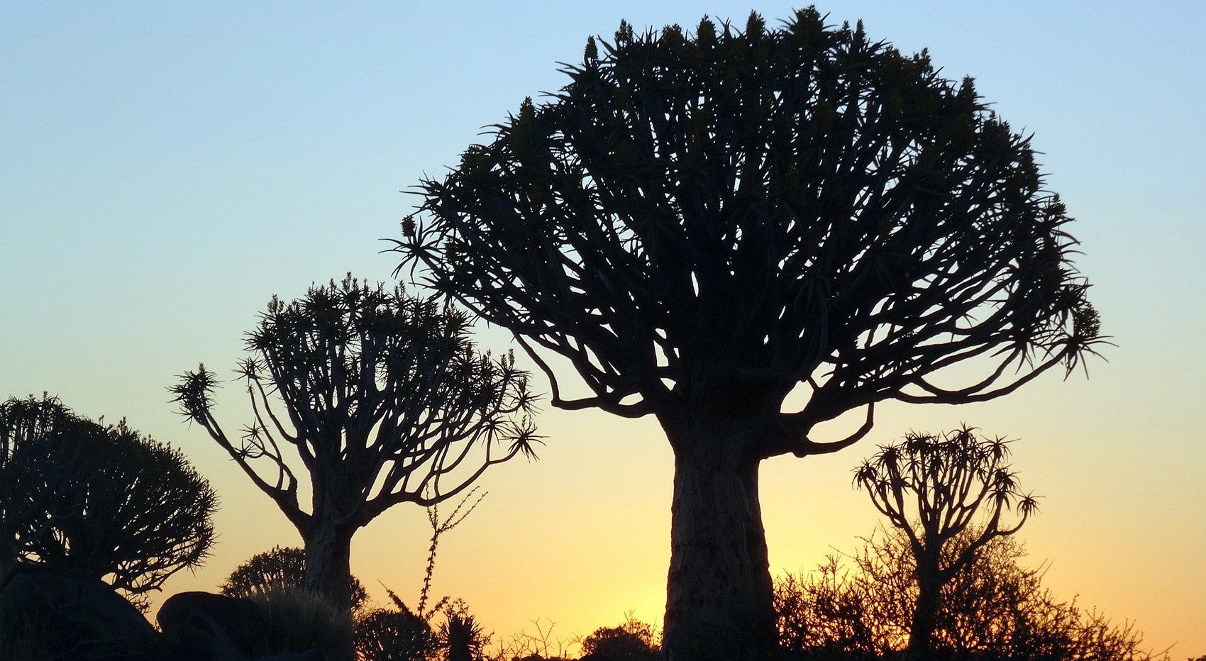 Köcherbaumwald Tipps Mietwagenreisen Namibia