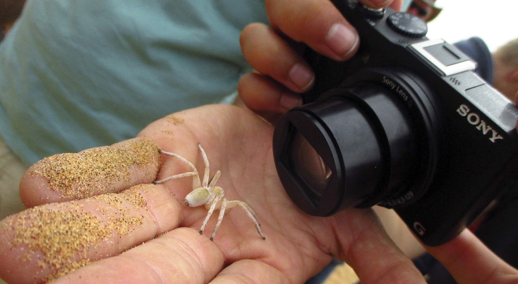Tipps Selbstfahrer Namibia Süden Wüstentour