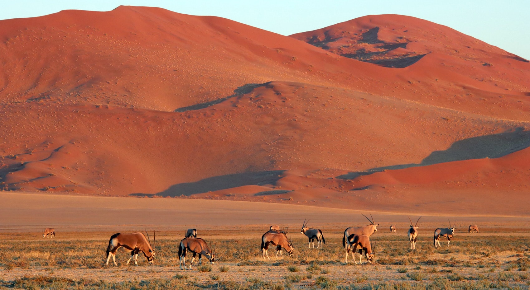 Sossusvlei lohnt es sich