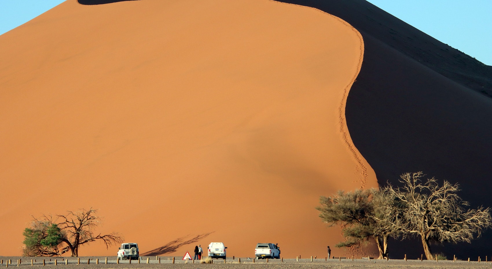 Düne 45 Namib Desert