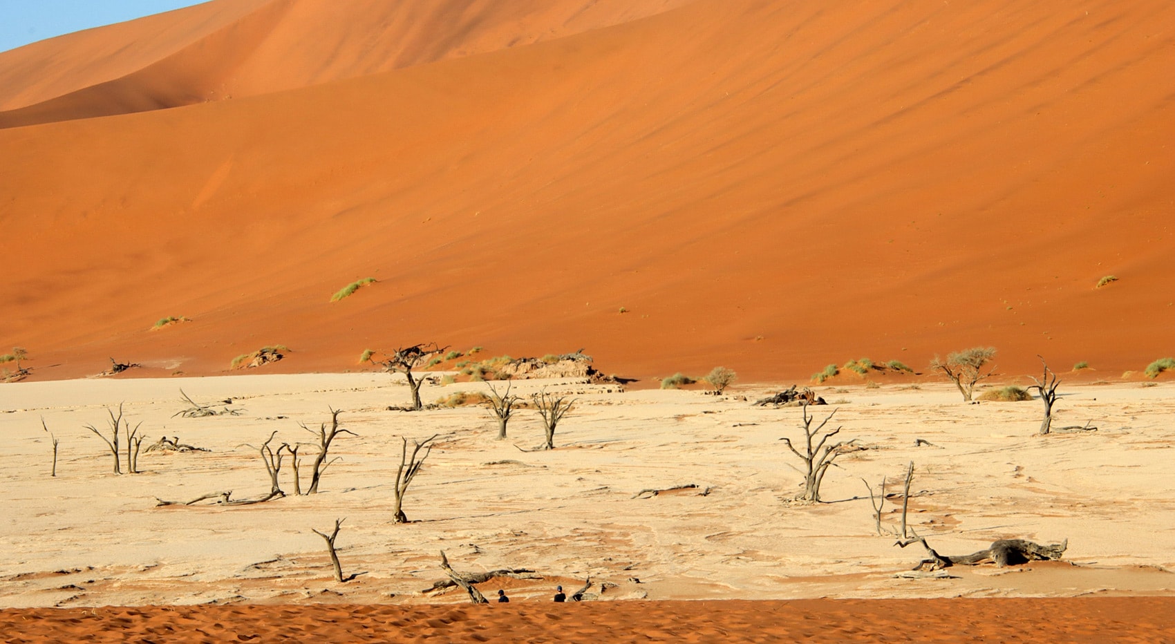 Deadvlei Namibia Highlight