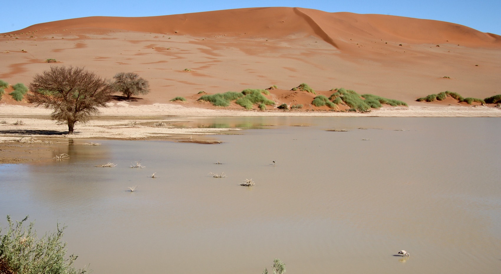 Regen Sossusvlei Namibia