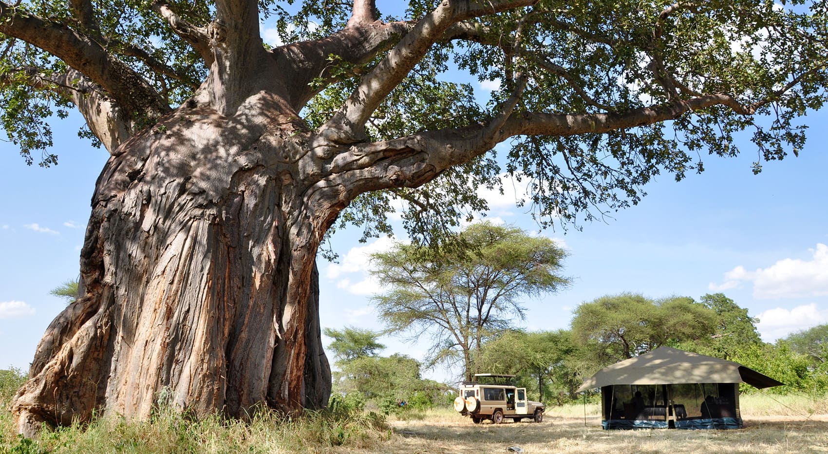 Private Camping Safari Tansania Campsite