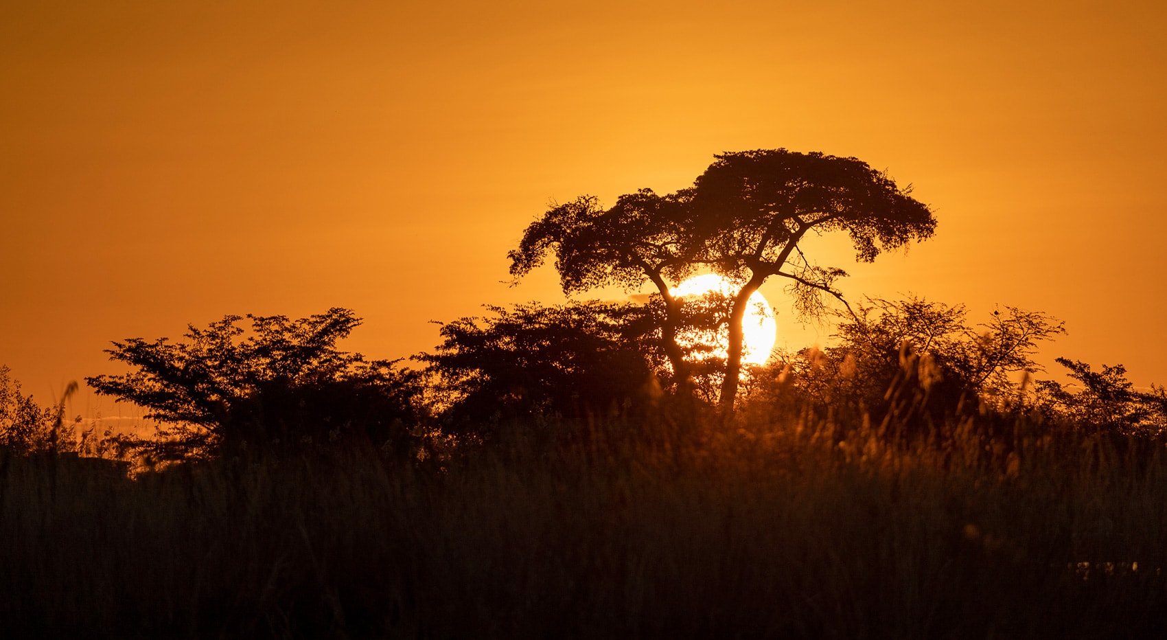 Warum nach Botswana Sonnenuntergang