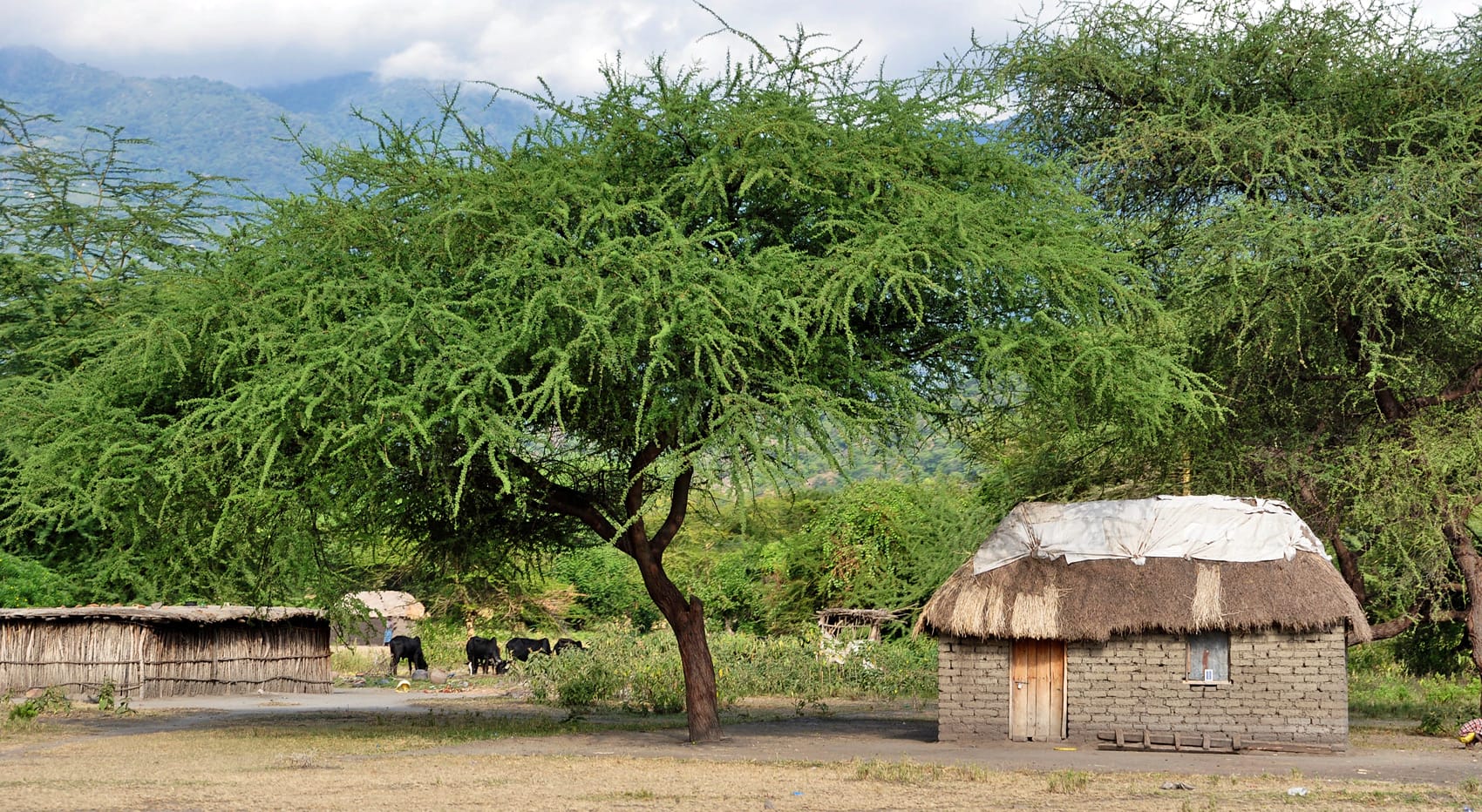 Wie schütze ich mich vor Malaria Afrika-Reise