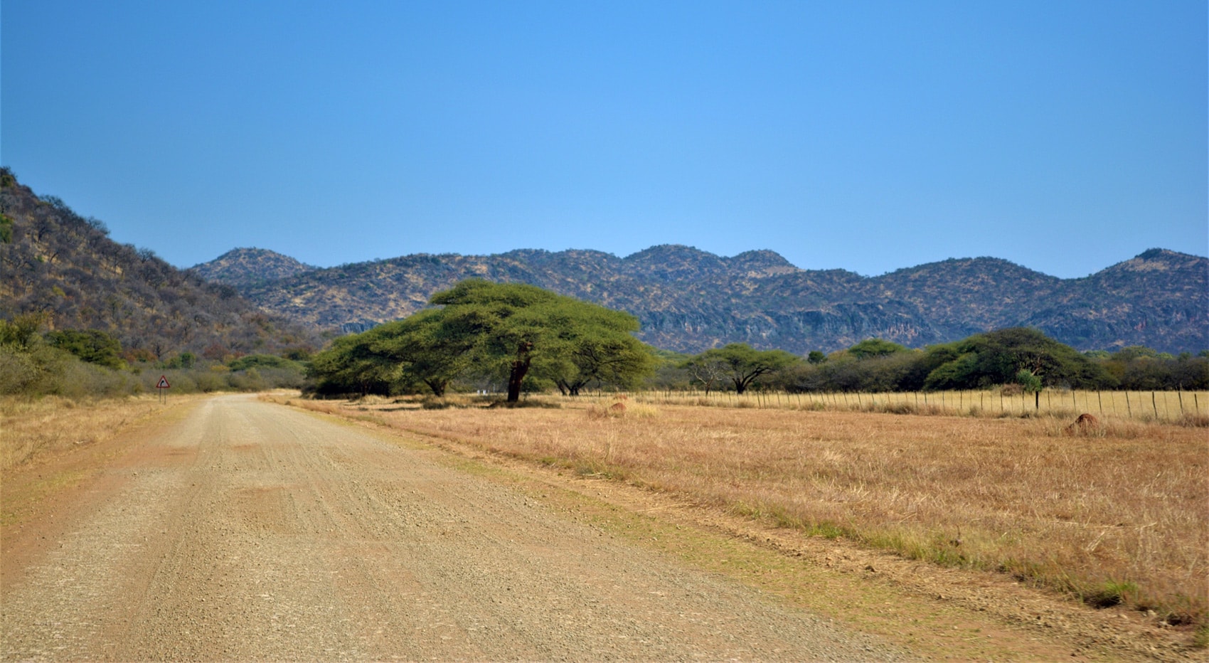Emil Bauer sucht Frau Otaviberge