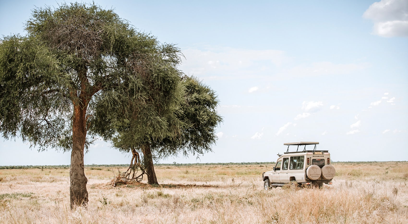 Gründe Botswana Reise lohnt sich - Safari
