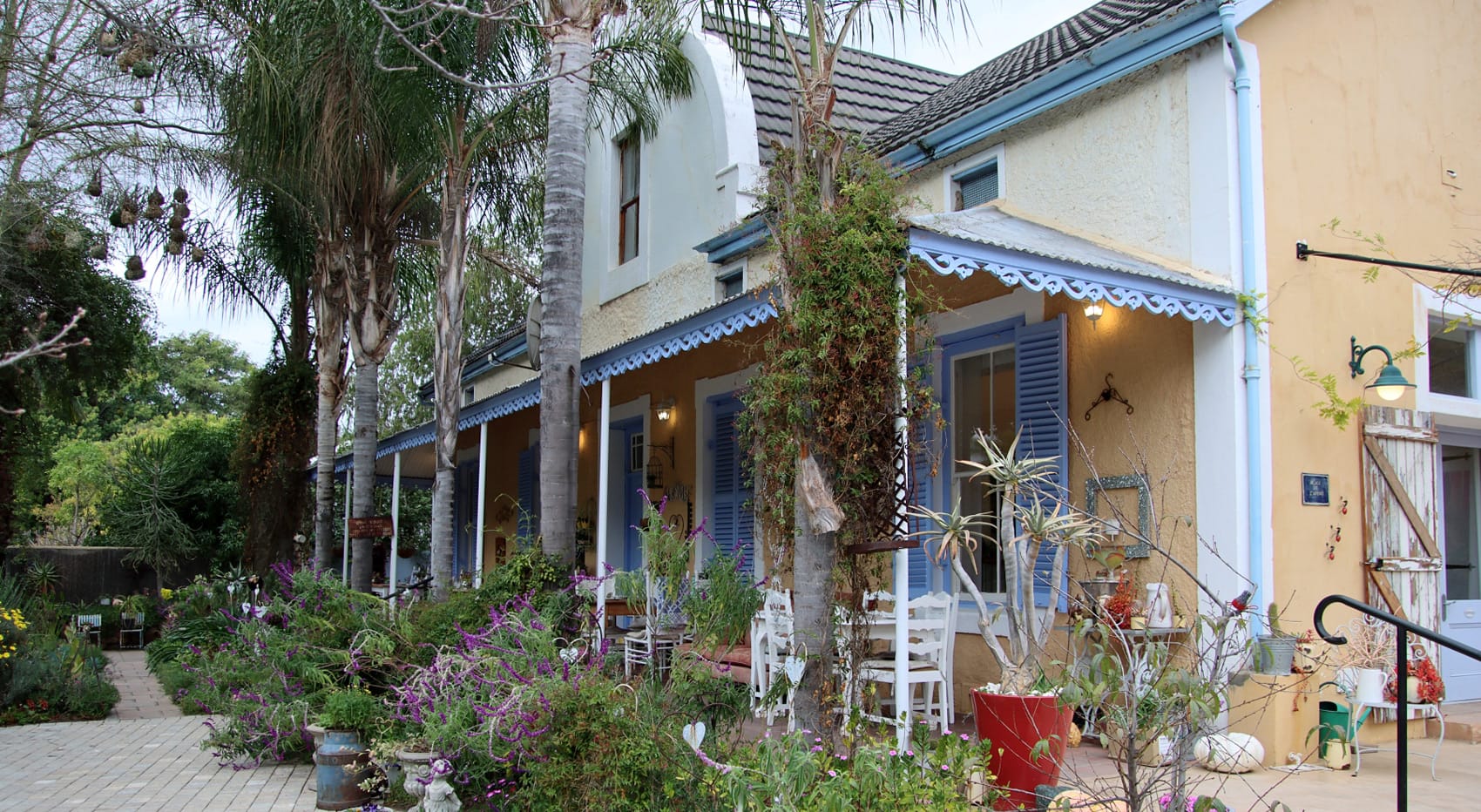 Lohnenswert Yellow Aloe Cafe Clanwilliam Zederberge Lohnenswert Yellow Aloe Cafe Clanwilliam Zederberge