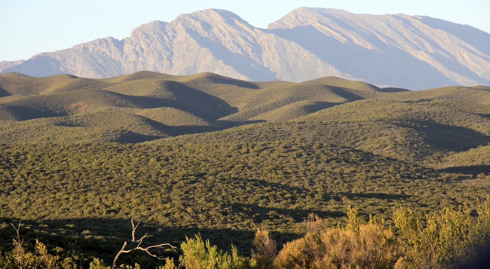 Western Cape Südafrika Bauer International Rüdiger