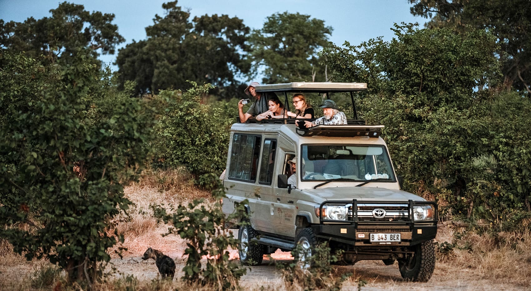 Pirschfahrt im Okavango Delta, ein besonderes Erlebnis 