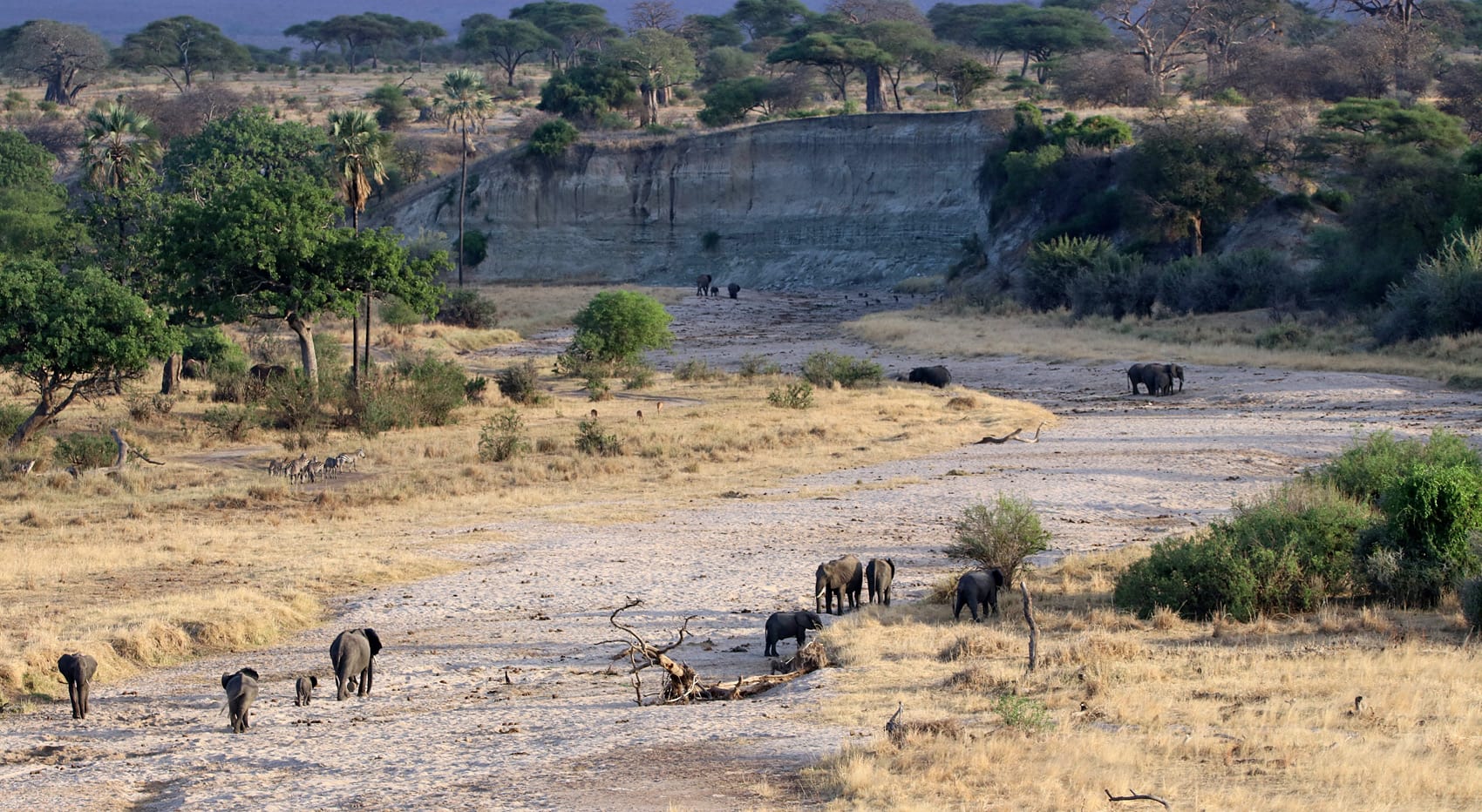 Trocken Tarangire Fluss Camping Safari Tansania