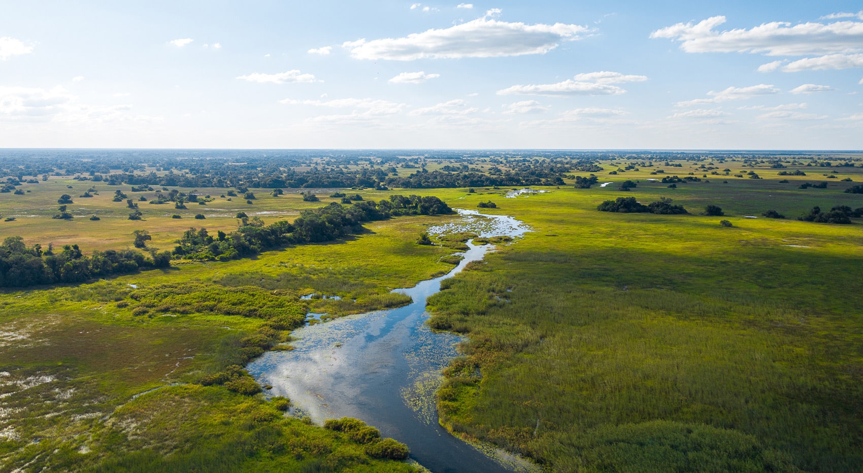 Okavango Delta warum nach Botswana Reisen