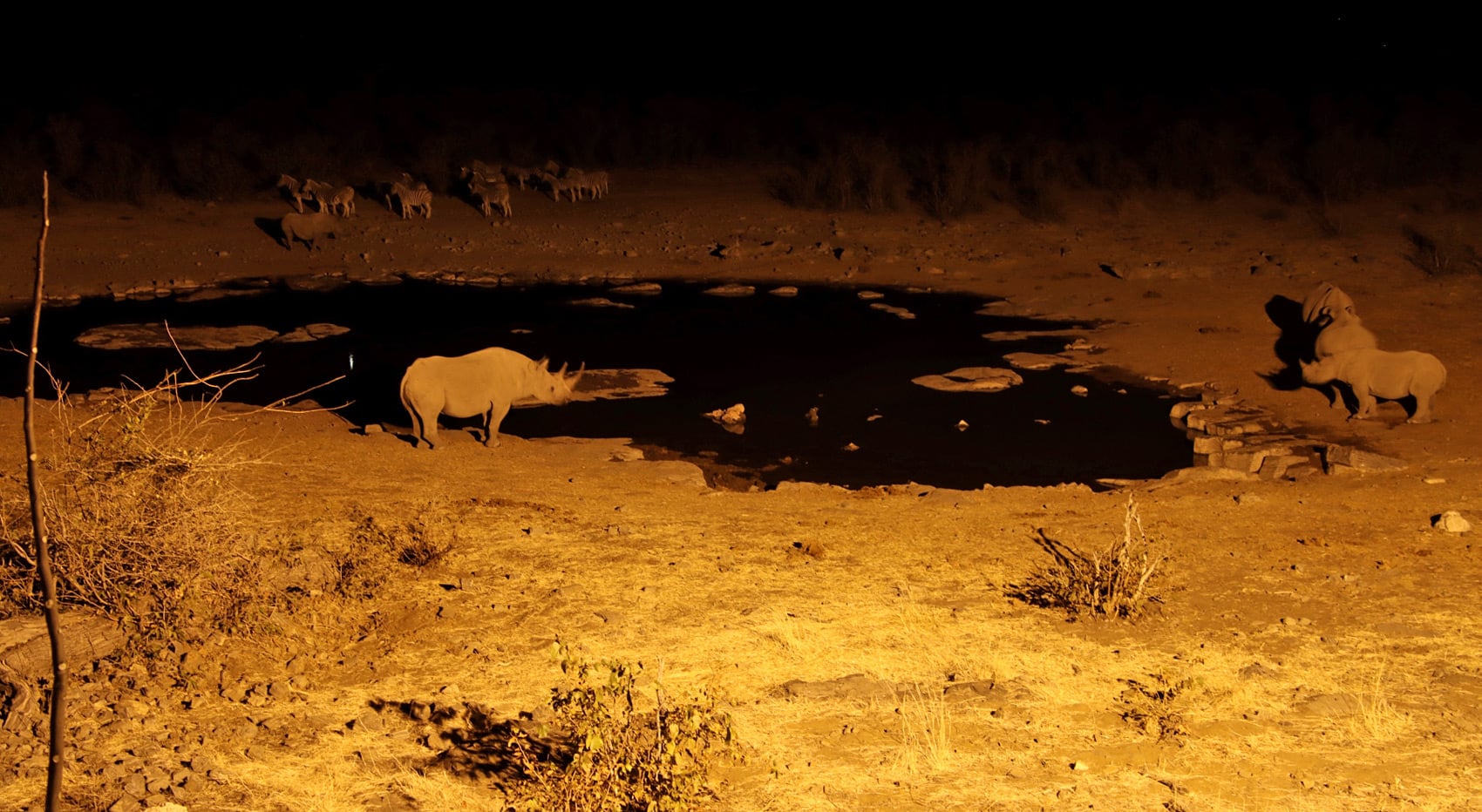 Bauer sucht Frau Namibia Wasserloch Etosha Nationalpark
