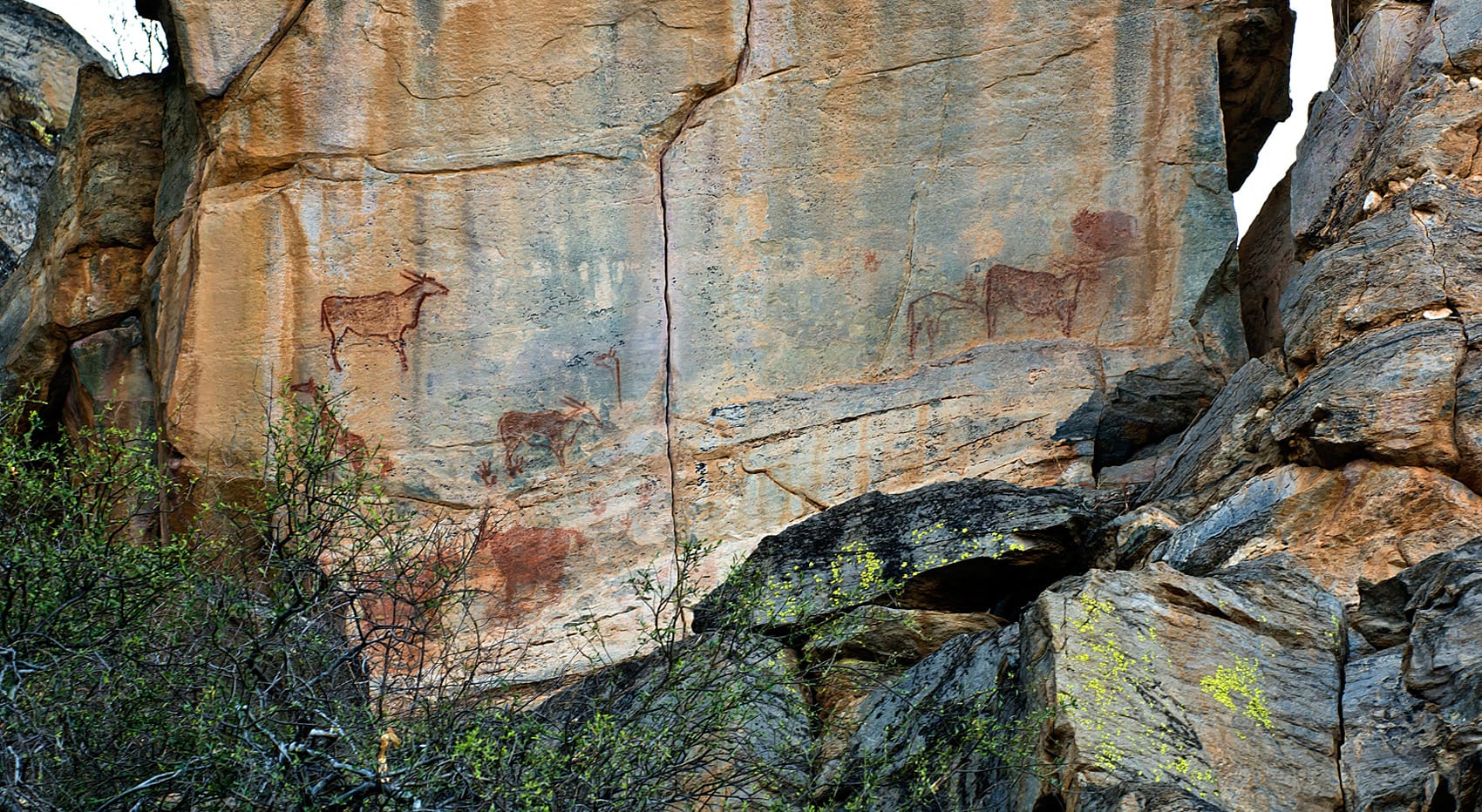 Felszeichnungen Tsodilo Hills Botswana