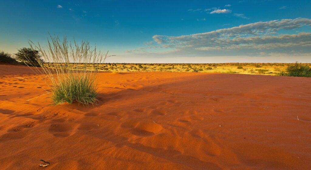 Kgalagad Transfrontier park Malaria-frei Afrika Reise
