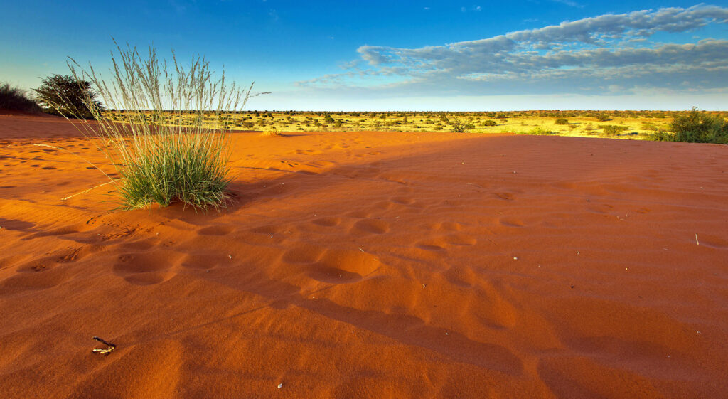 Wo Afrika Reise ohne Malaria Namibia Kalahari