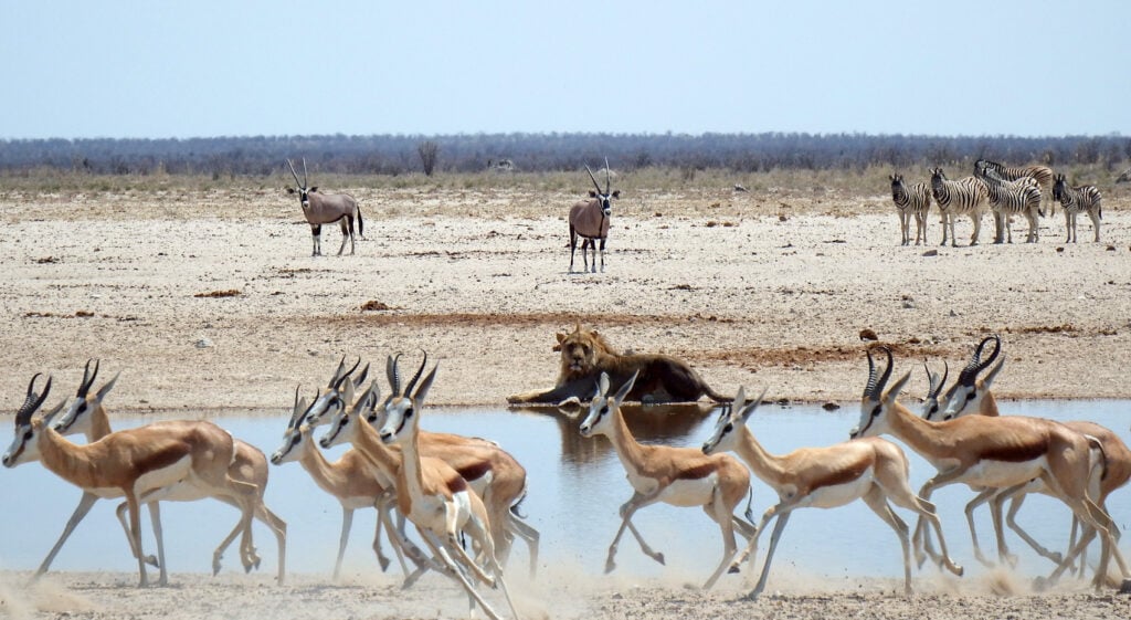 Etosha Nationalpark Trockenzeit geringes Malaria Risiko