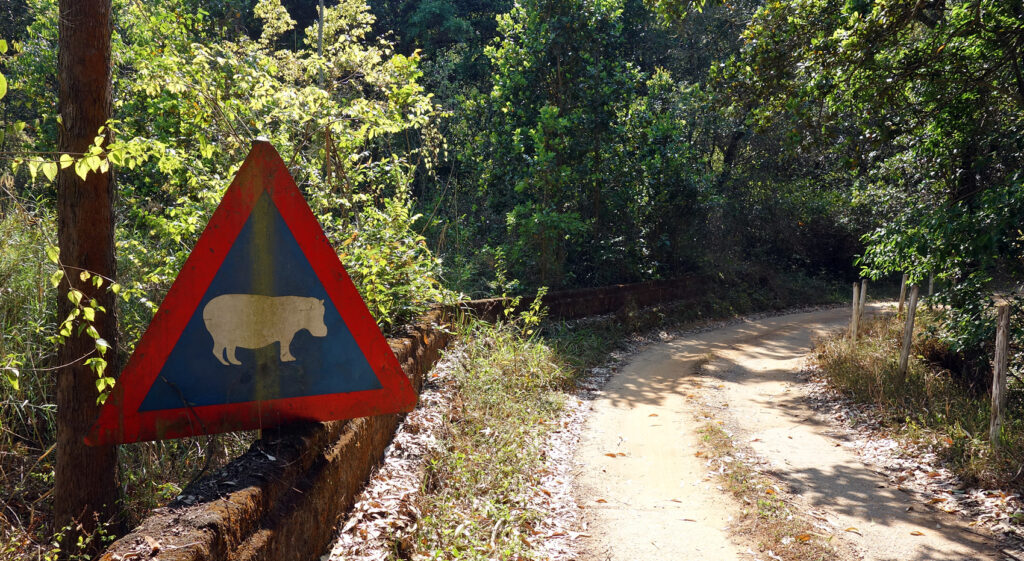 Wo wird Dschungelcamp 2022 gedreht Blyde River Canyon