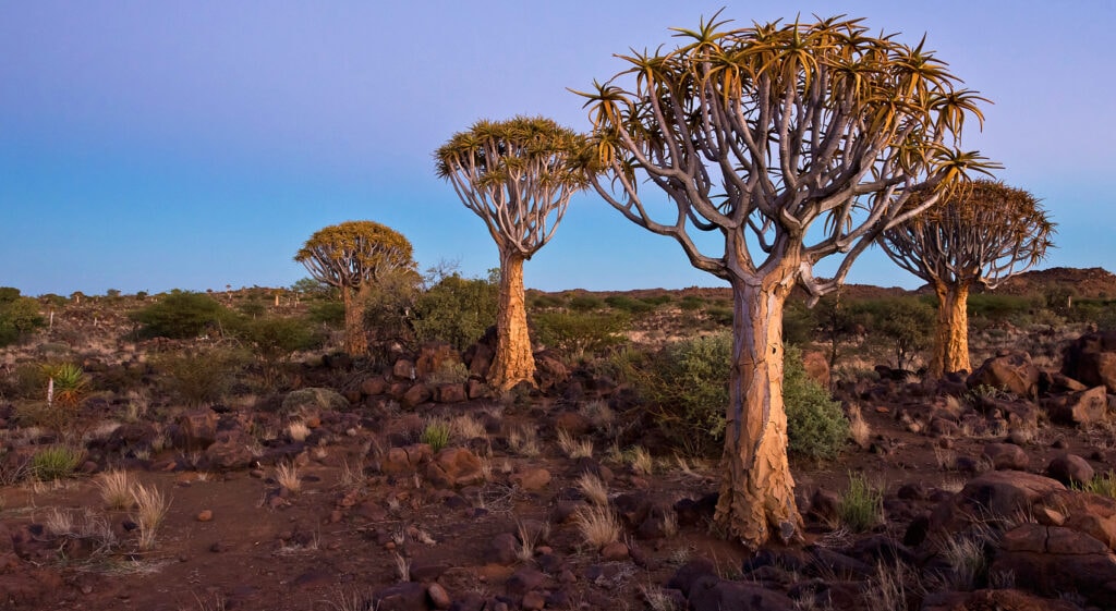 Malariafreie Sehenswürdigkeit Namibia