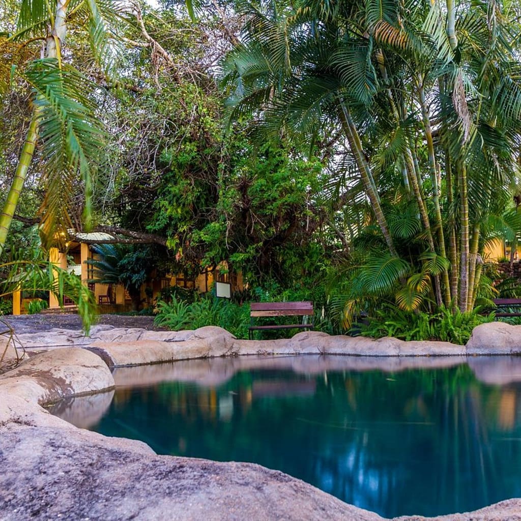Gecko Lodge Hazyview Südafrika