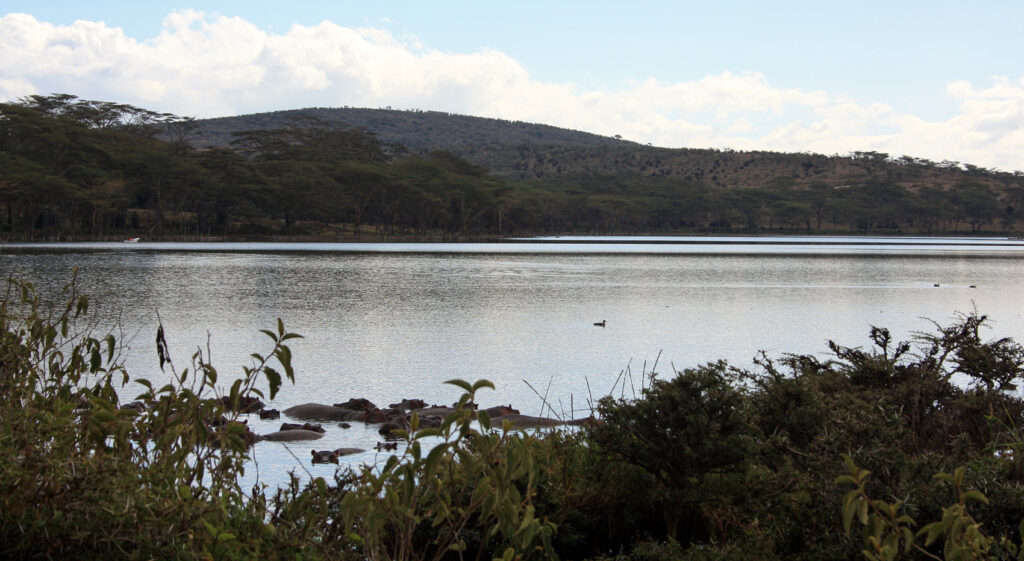 Lake Naivasha lohnenswert besuch Kenia