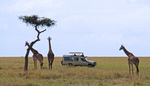 Afrika-Reisen in Kenia