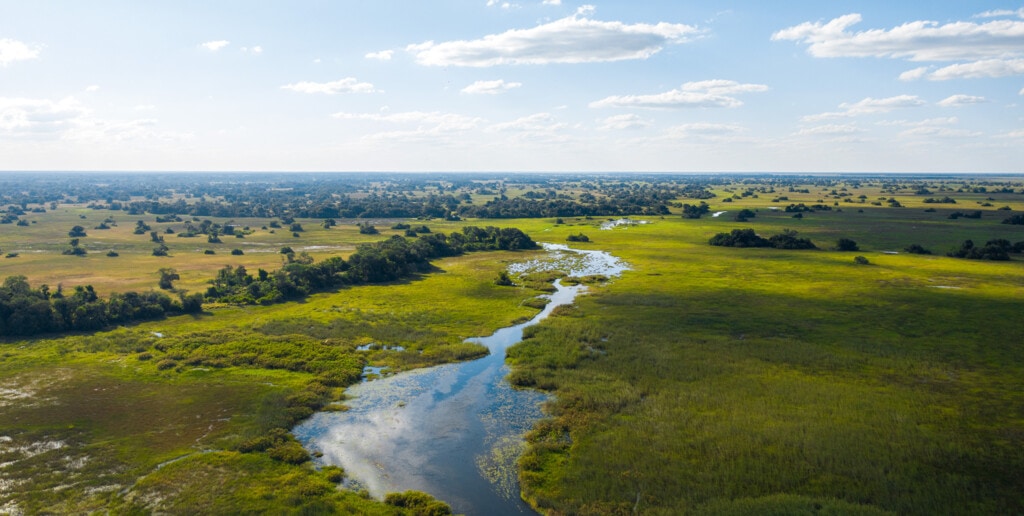 Botswana Reisen buchen
