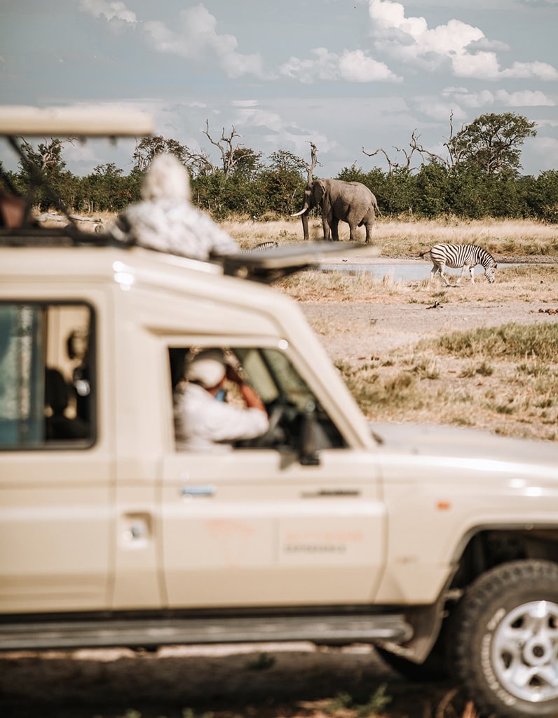 Safaris in Botswana