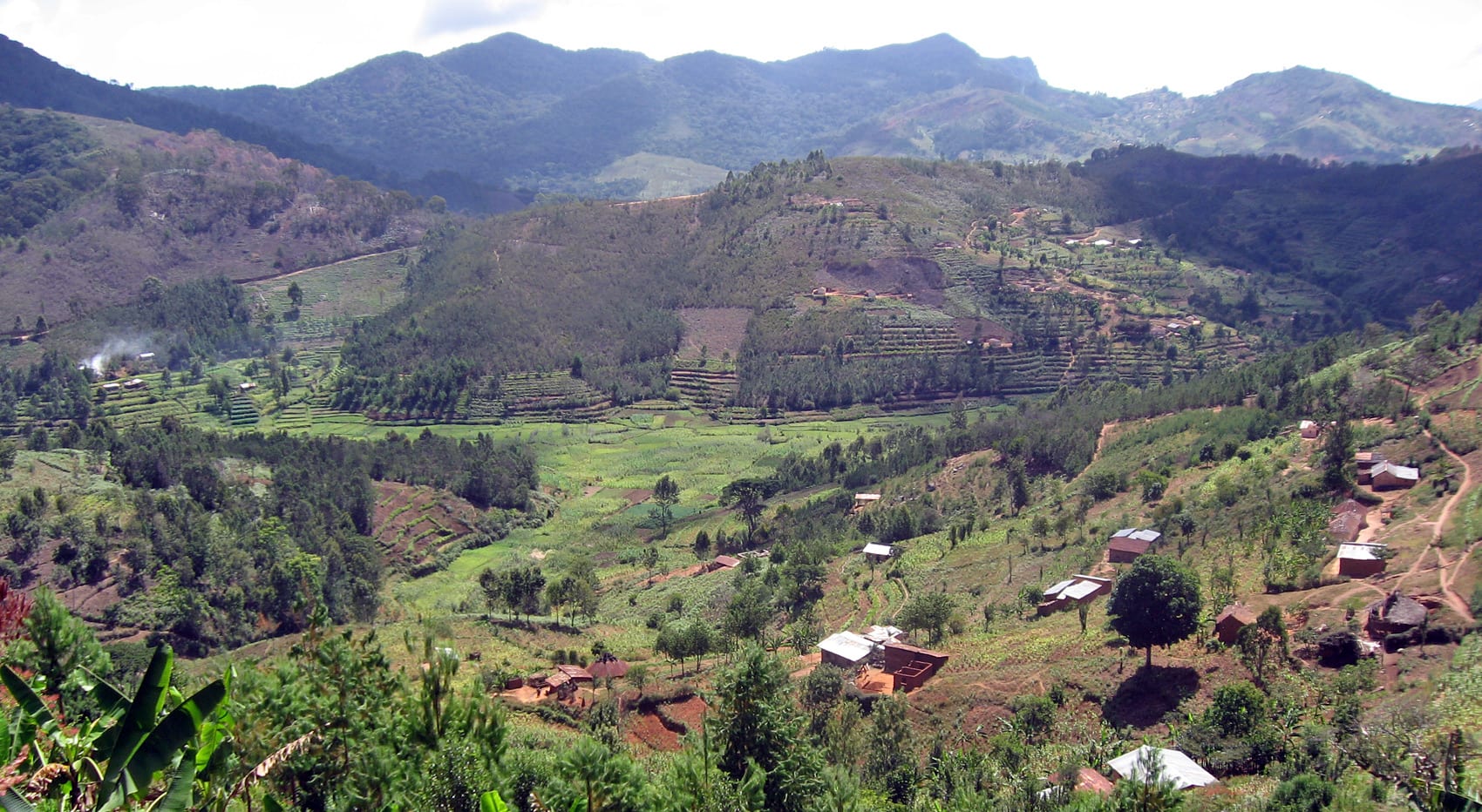 Usambara Berge Tansania wandern