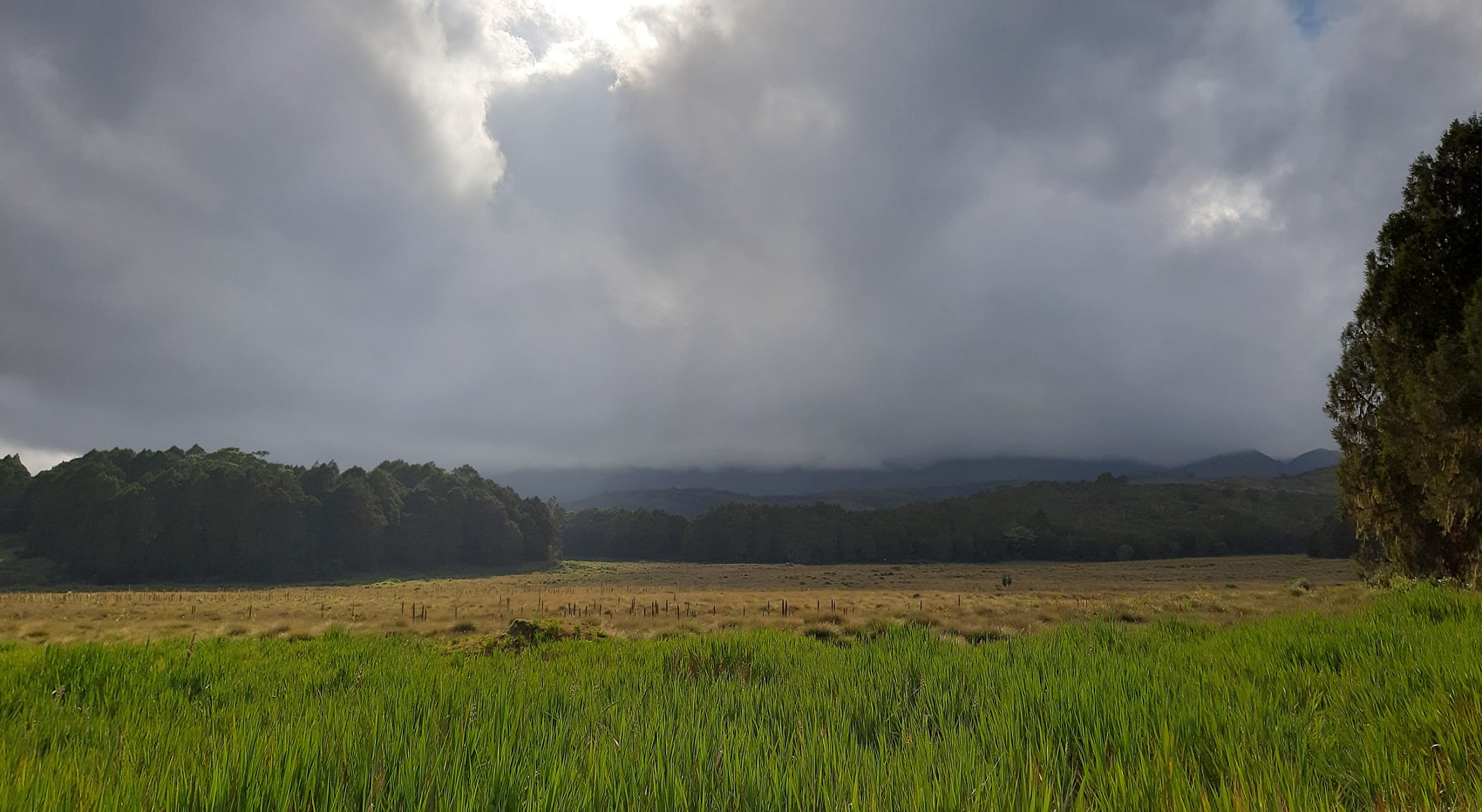 Wandern Kenia wo Chogoria Mt Kenya