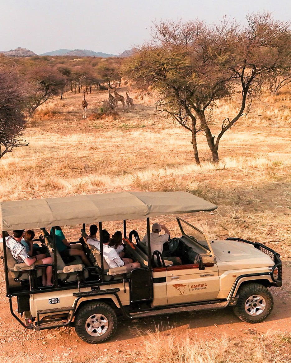 Pirschfahrt im Etosha Nationalpark
